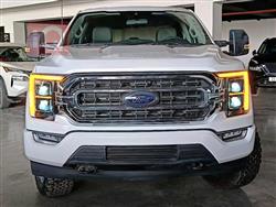 فۆرد F-150